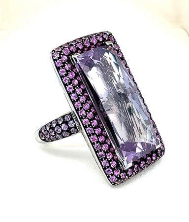 Anshindo - Paris Ring