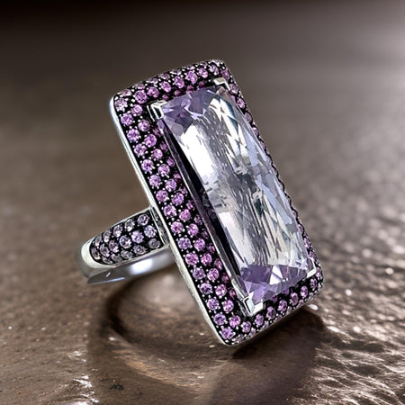 Anshindo - Paris Ring