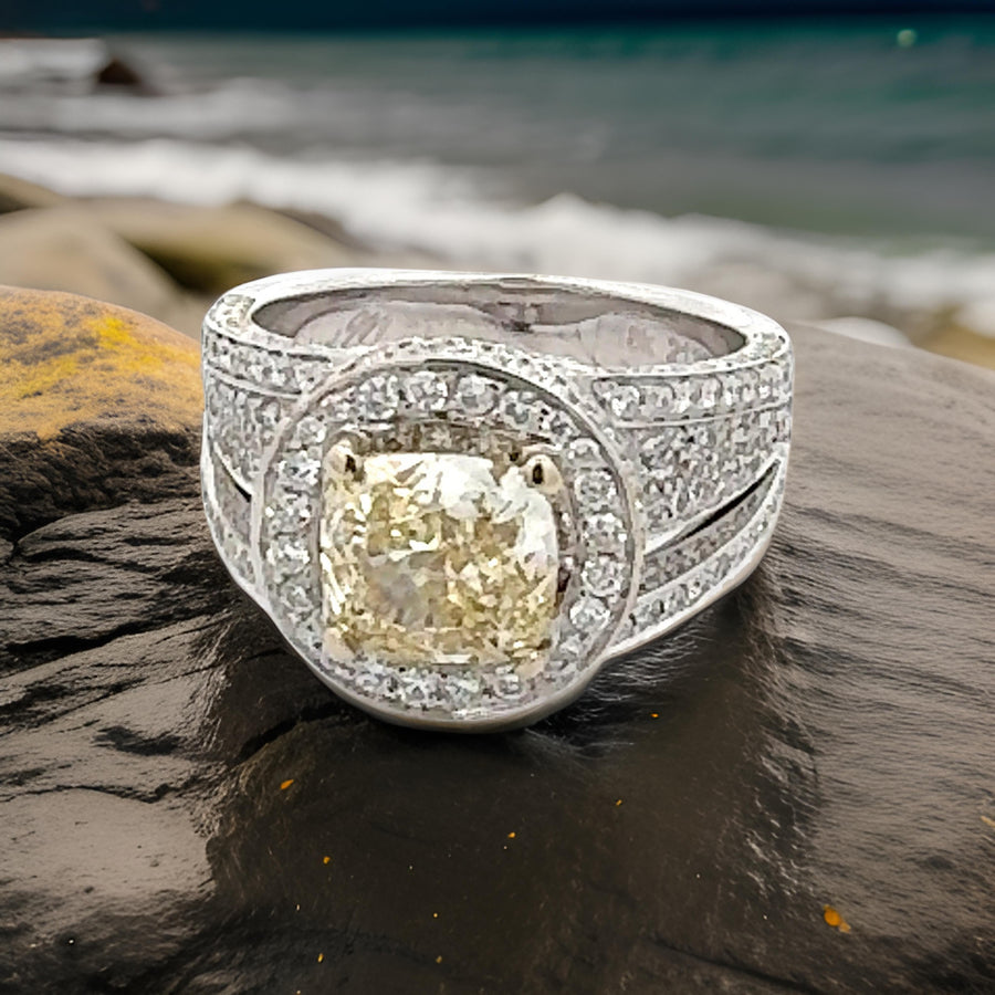 Estate - Michael M Ring